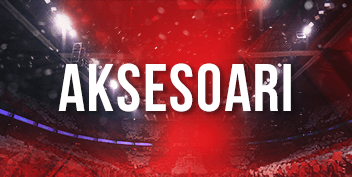 Fanstore accessories bg